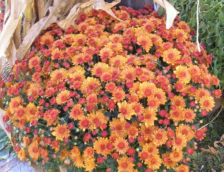 ???????????????????????????????