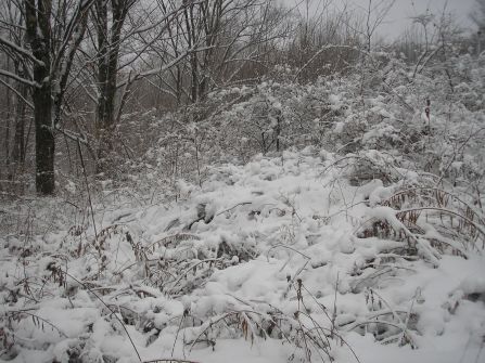 The Catskills, Upstate New York