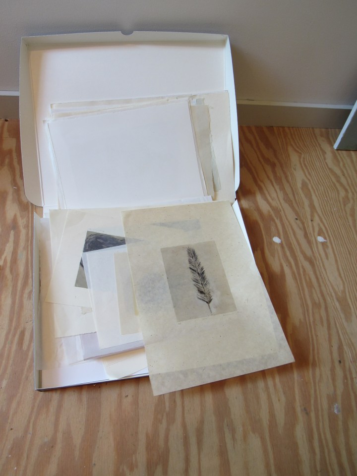 Feather inspired prints by Amy Masters