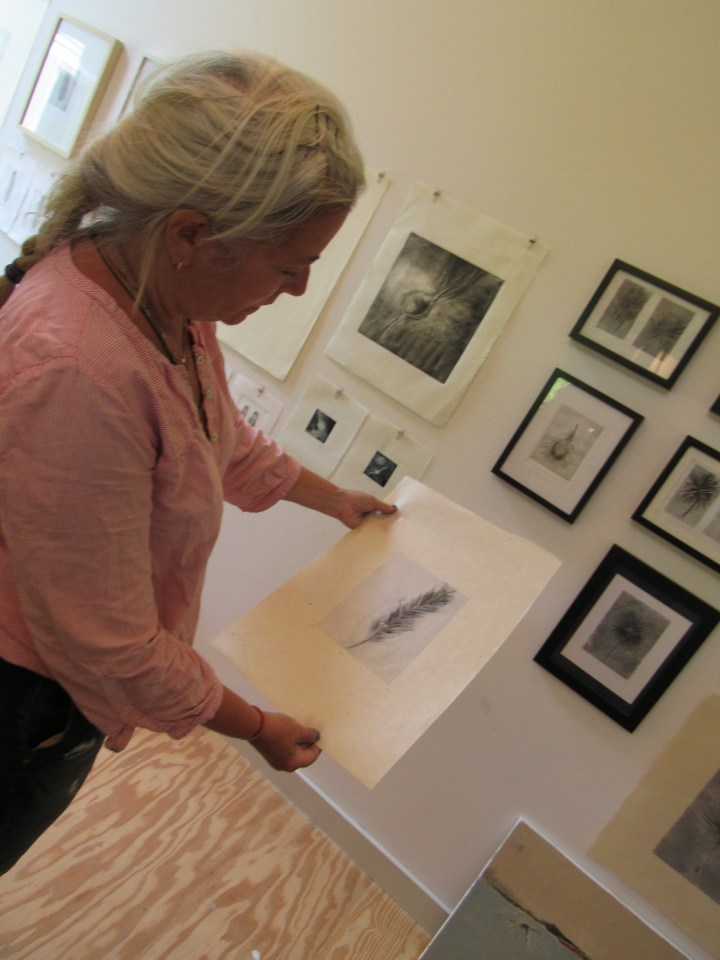 Amy Masters' Feather Series. © Simona David 